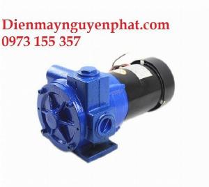 Bơm dầu diesel DCTP-100  24V chạy điện DC 24V