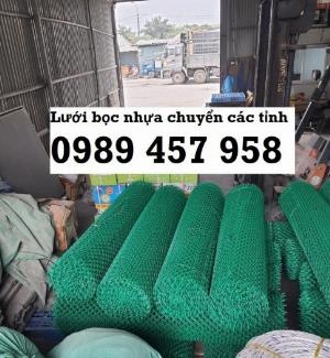 Lưới mắt cáo bọc nhựa b30 30x30, Lưới B10 10x10, B20 20x20, Lưới bọc nhựa b30