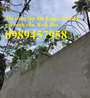 Dây kẽm Sectina, Dây kẽm gai bùng nhùng
