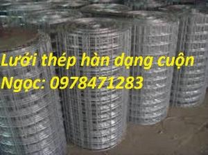 Ứng dụng của lưới thép hàn D1, D2, D3, D4 trong các công trình xây dựng.