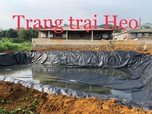 2023-03-28 14:25:10  2  Màng Chống Thấm Nhựa Lót Bãi Rác 0.75mm-khổ 4m,5m SunCo 2023 31,500