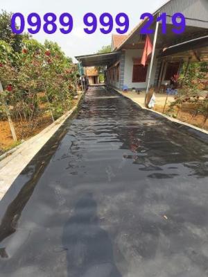 2023-03-28 14:25:10  1  Màng Chống Thấm Nhựa Lót Bãi Rác 0.75mm-khổ 4m,5m SunCo 2023 31,500