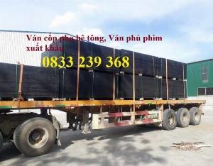 Các loại ván ép nội thất, ván ép cốp pha, ván đổ bê tông, ván ép bao bì.