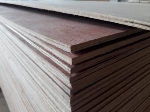 Các loại ván ép nội thất, ván ép cốp pha, ván đổ bê tông, ván ép bao bì.