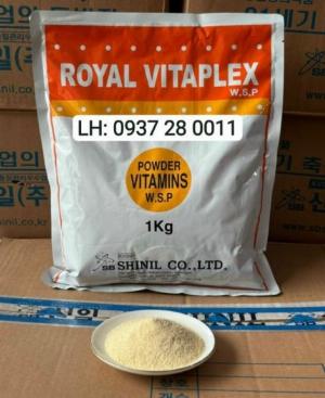 ROYAL VITAPLEX - Hàn Quốc