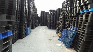 Cho thuê mua bán pallet nhựa, Pallet gỗ tại Bắc Ninh