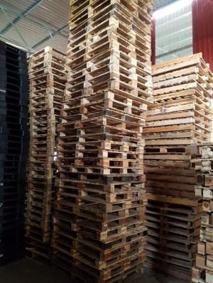 Cho thuê mua bán pallet nhựa, Pallet gỗ tại Bắc Ninh