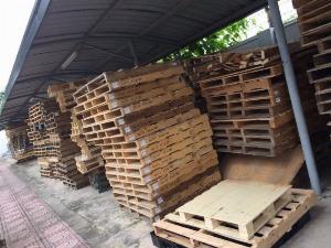 Cho thuê mua bán pallet nhựa, Pallet gỗ tại Bắc Ninh