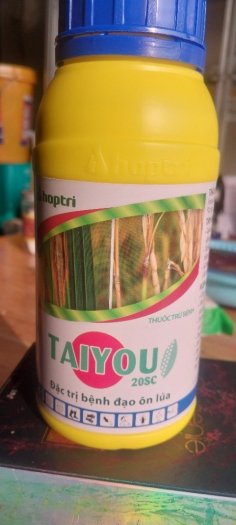 Taiyou hợp trí 500ml