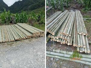 Tổng kho nguyên liệu tre trúc Hà Nội - Đơn vị thi công tre trúc giá rẻ chuyên nghiệp