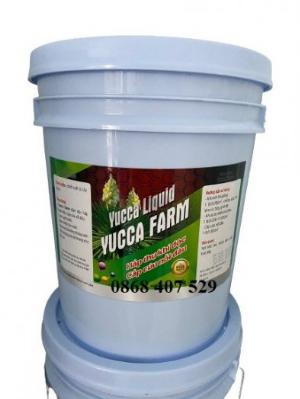 Yucca nước khử độc, xử lý môi trường