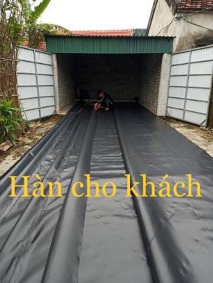 Màng HDPE 0.7mm khổ 5mx50m 250m2  Lót hồ thủy sản,hồ nuôi tôm 2023