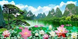 2023-05-28 10:31:39  8  Tranh gạch 3d ốp mộ - SXBB94 1,200,000