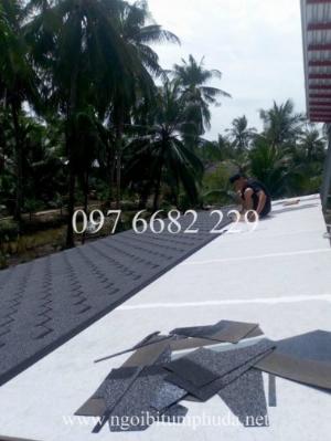 Điểm mạnh của ngói bitum CNX: Độ bền và khả năng chống thời tiết