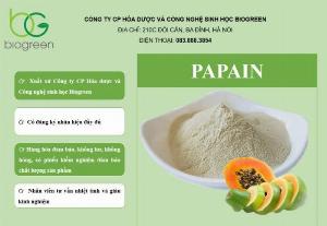 Bán nguyên liệu Papaya extract (Chiết xuất Đu đủ) Papain