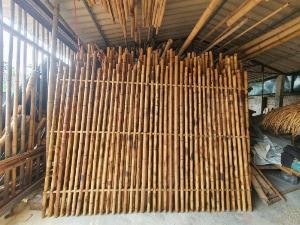 Đại lý bán sỉ cây tre trang trí nội thất, bán sỉ cây tre tại Sài Gòn, bán sỉ cây tre tại TP HCM, vựa bán cây tre