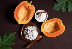Bán nguyên liệu enzyme Papain (Papaya latex extract)