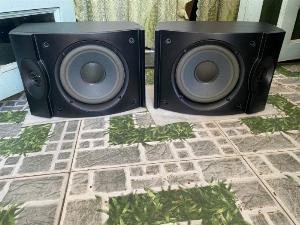 LOA BOSE 301 Seri V