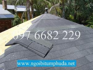 Lựa chọn hoàn hảo cho mái nhà của bạn với Tấm lợp bitum CNX