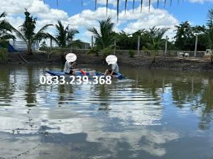 Xuồng composite câu cá 2 người