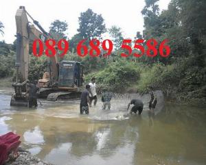 2023-10-03 06:04:32  6  Rọ thép gia cố móng, Rọ thép chống sụt lở, Vải địa kỹ thuật 23,000