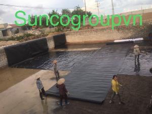 Màng Hdpe 0.5mm khổ 4mx50m 200m2 lót Dải Đường