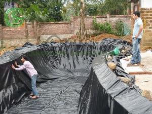 Màng Hdpe 0.5mm khổ 6mx50m 300m2 lót be bờ ao