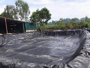 Bạt (Màng) Chống Thấm Hdpe Độ Bền 10-20 Năm