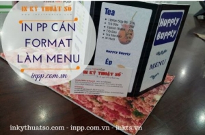 In PP cán format có rất nhiều ứng dụng trong vật phẩm trang trí, quảng cáo; thành phẩm in ấn của PP