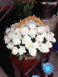 Hoa Sinh Nhật GSN036
Giá: 385000 VND