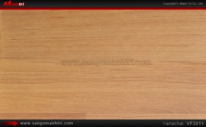 Sàn gỗ công nghiệp Vanachai VF3011, dày 12mm, độ bền cao