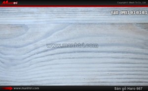 Sàn gỗ công nghiệp Haro 667, dày 8mm