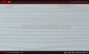 Sàn gỗ công nghiệp EuroHome EF72