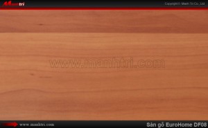 Sàn gỗ công nghiệp EuroHome DF08