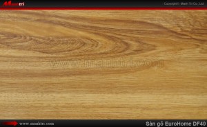Sàn gỗ công nghiệp EuroHome DF40