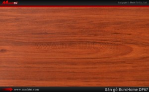 Sàn gỗ công nghiệp EuroHome DF67