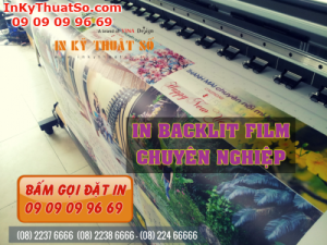 Backlit film hình ảnh phong cảnh, in mực dầu trên máy Mimaki Nhật tại In Kỹ Thuật Số