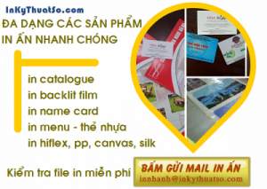 Trang trí cửa hàng chụp ảnh cưới với in backlit film xuyên sáng