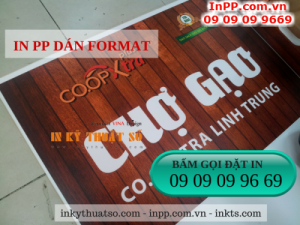 Thành phẩm in PP được gia công cán format