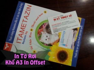 In tờ rơi khổ A3 in offset