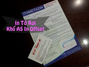 In tờ rơi khổ A5 in offset