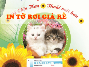 lựa chọn địa chỉ uy tín, đáng tin cậy để thực hiện in tờ rơi giá tốt tại Công ty TNHH In Kỹ Thuật Số - Digital Printing