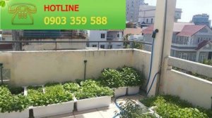 Chậu trồng rau sạch hữu cơ Nhật Bản, phân trùn quế