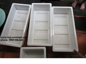 Chậu trồng rau sạch thông minh