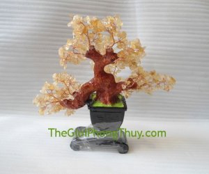 Biểu tượng của sự sung túc,thu hút tài lộc