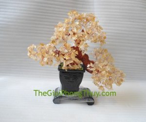 Tạo sinh khí, mang lại may mắn, thịnh vượng