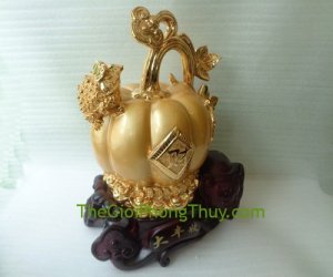 Bí ngô vàng FH347G