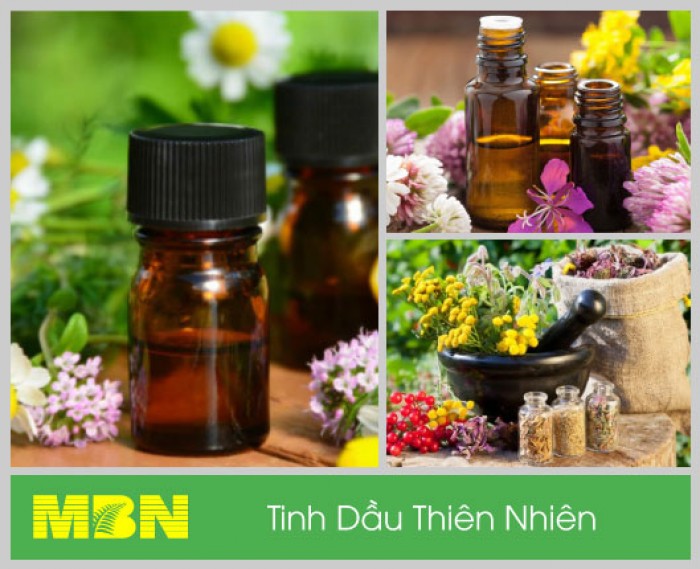 Tinh dầu thiên nhiên