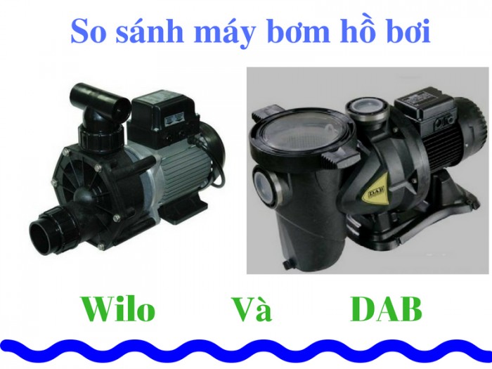 So sánh máy bơm hồ bơi Dab và Wilo