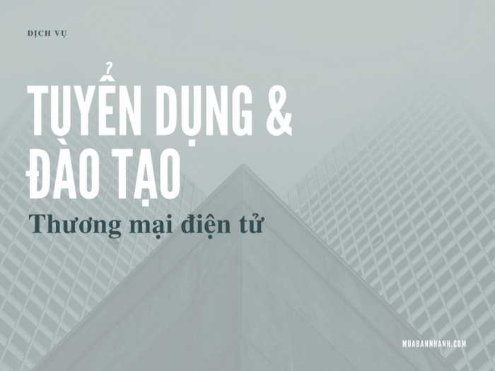 Dịch vụ Tuyển dụng & Đào tạo Thương mai điện tử là gì?